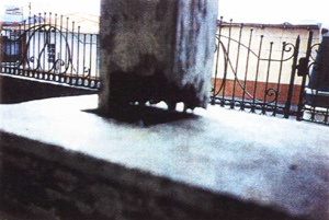 image35