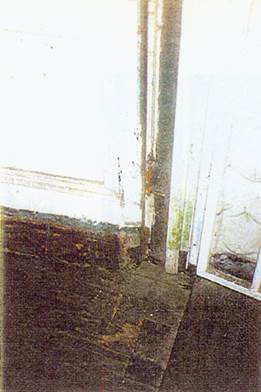 image74